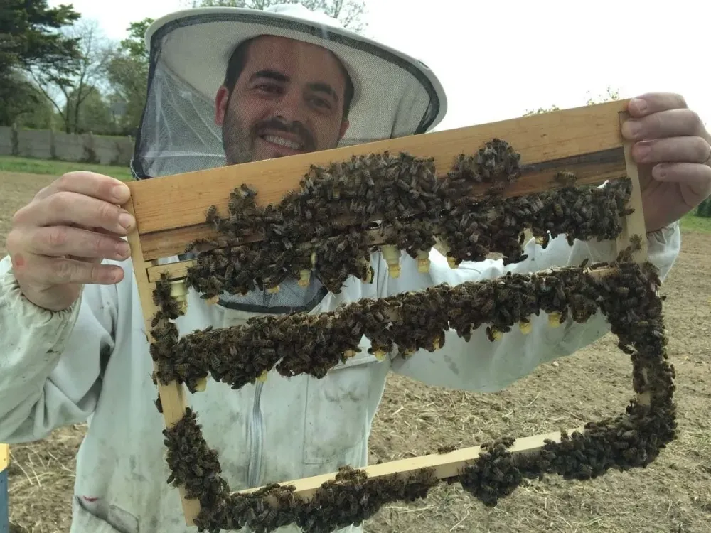 Apiculteur récoltant à Nivillac